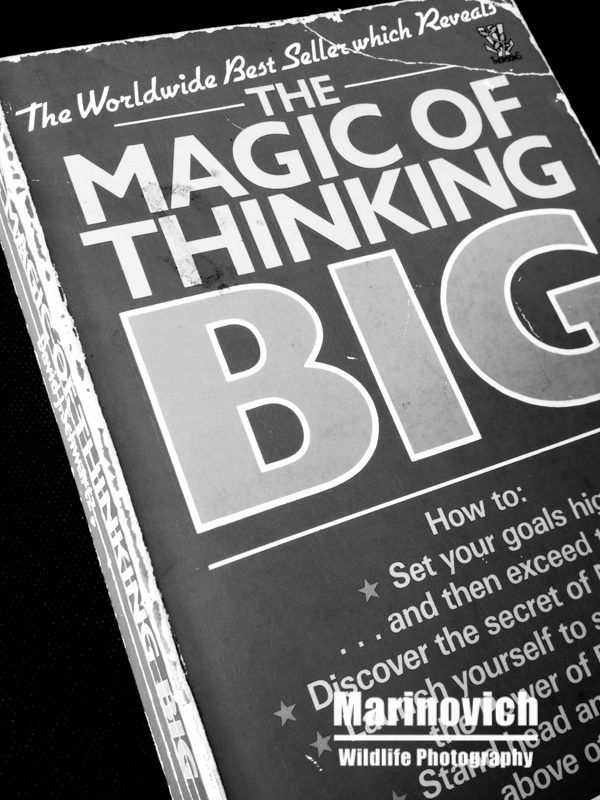 Books to motivate you "Books to motivate you - Marinovich Books"