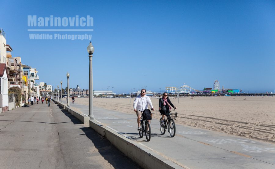 Cycling in Santa Monica