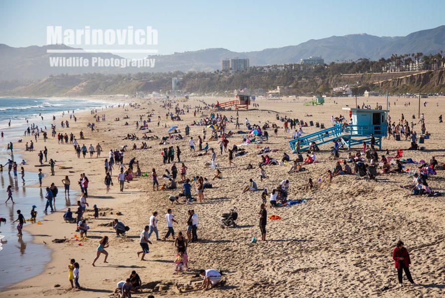 Santa Monica Beach - road trip