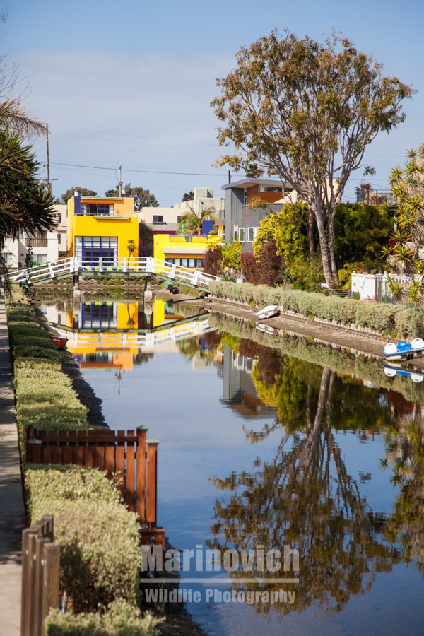 Venice beach waterways