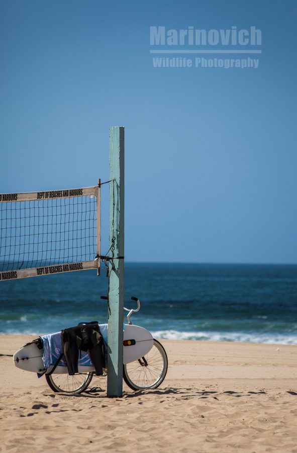 Volleyball and surfing at Venice beach - Marinovich Photography