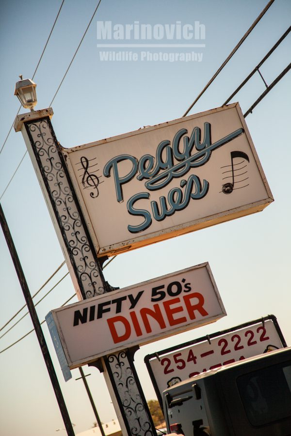 Peggy Sue's Nifty 50's diner, CA - Marinovich Photography