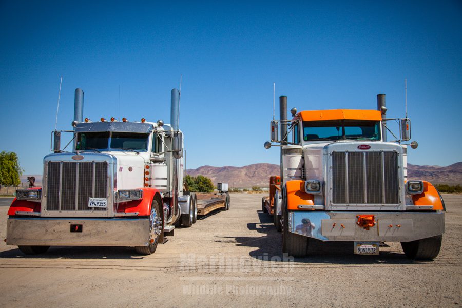 Truck-stop beasties