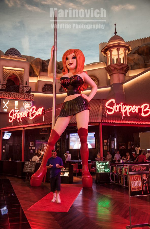 Stripper Bar, Las Vegas