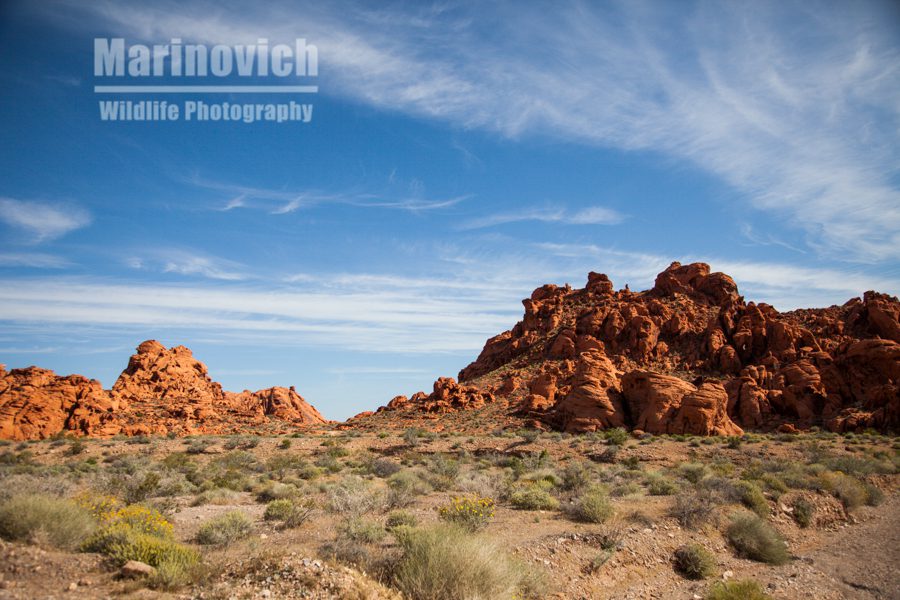 Valley of Fire National Park