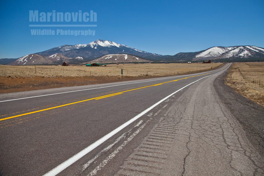 On the open Road, Grand Canyon to Flagstaff