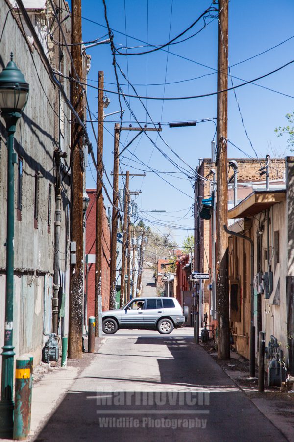 Flagstaff backstreets