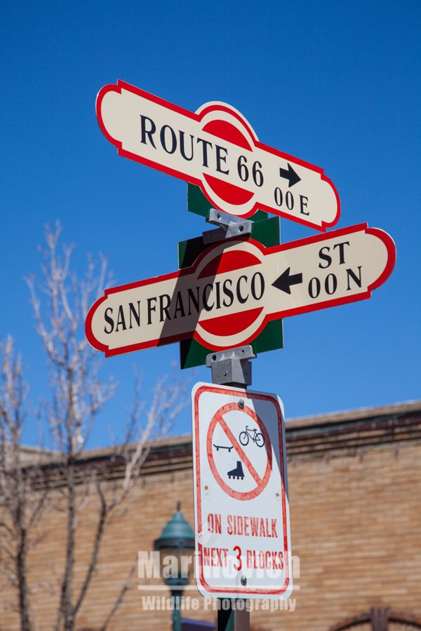 Flagstaff crossroads