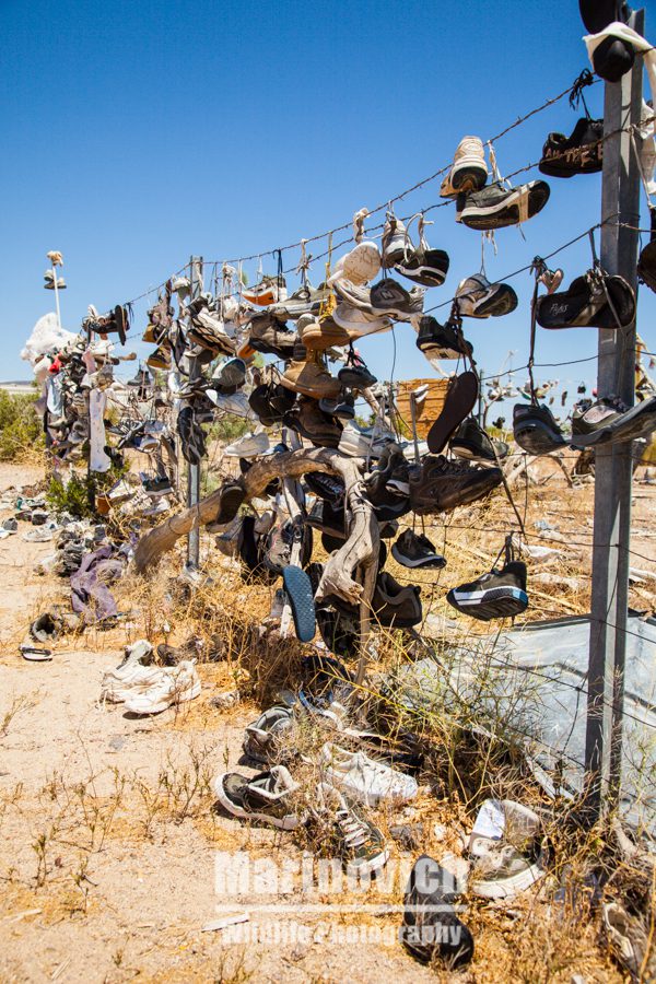 Shoes on a fence 