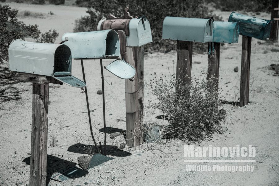 Postal delivery - post boxes