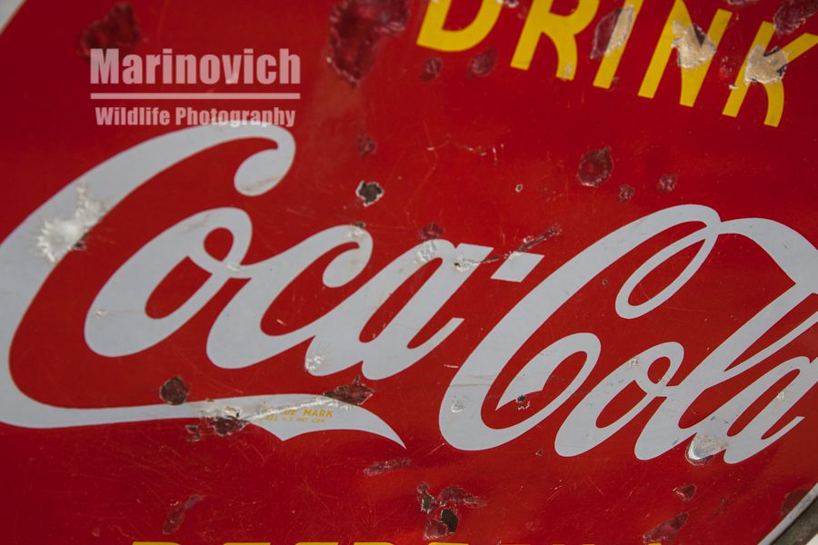 Coca-cola sign - California