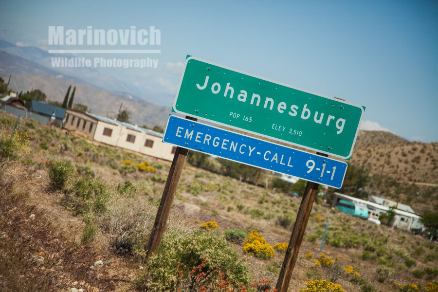 Johannesburg California 