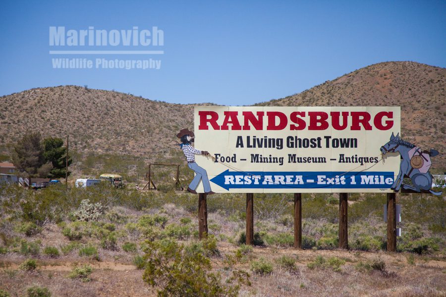 Randsburg California