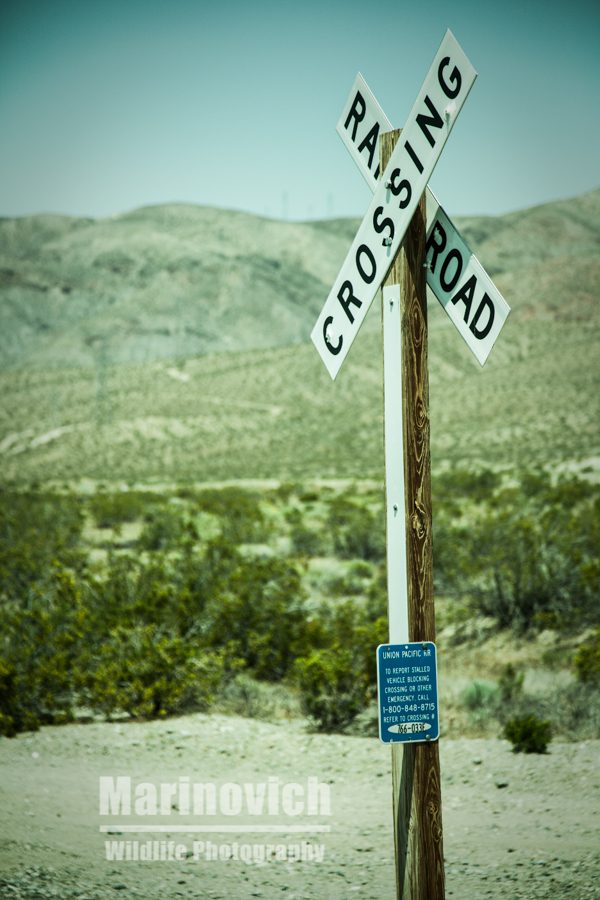 Railway crossing