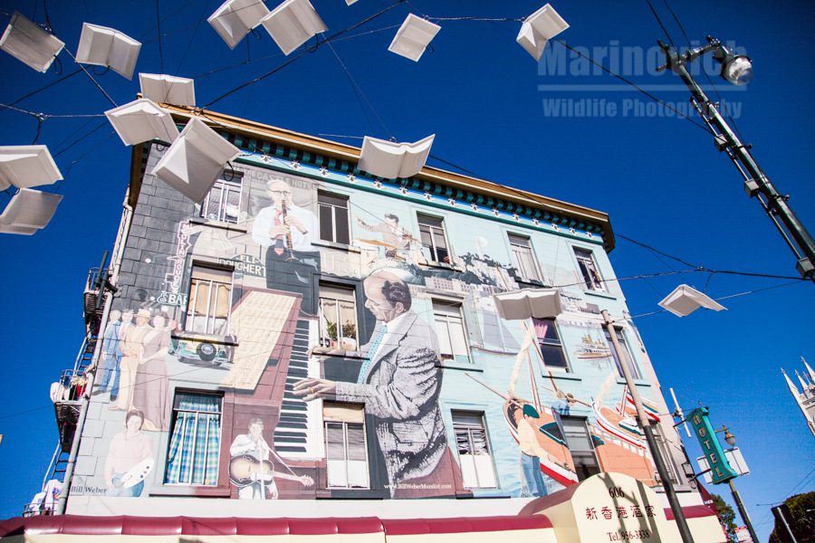 Street art in San Francisco 