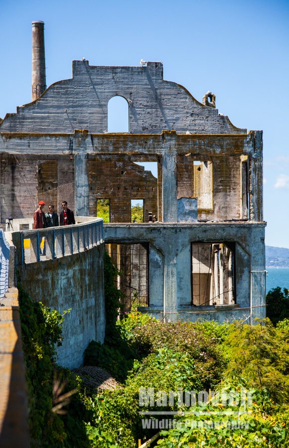 Alcatraz, San Francisco 