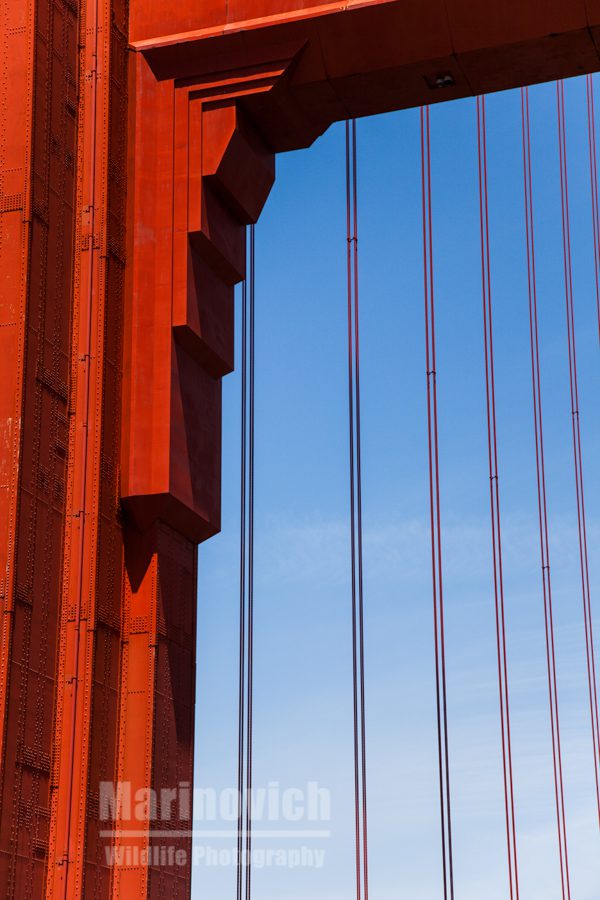 The Golden Gate Bridge, San Francisco