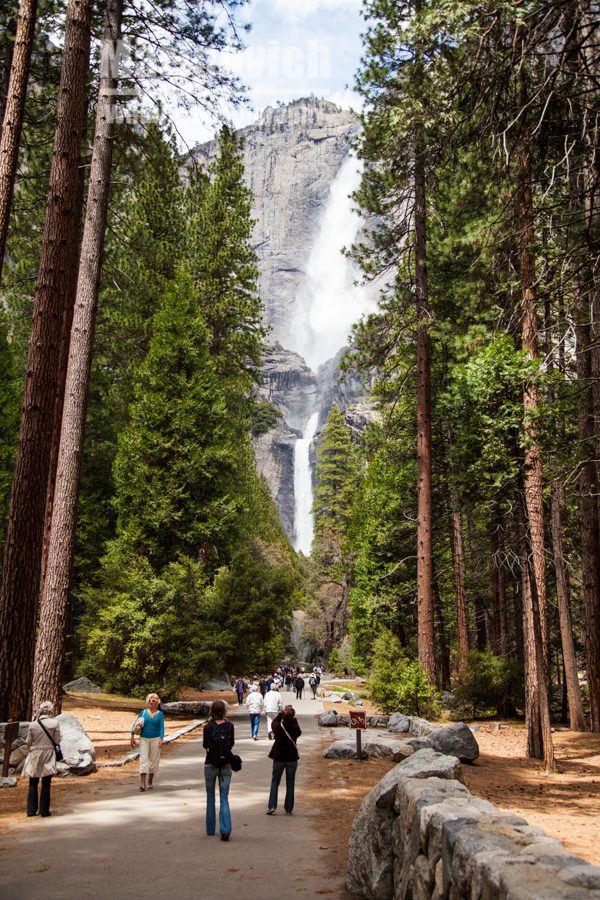 Yosemite National Park - Yosemite Falls