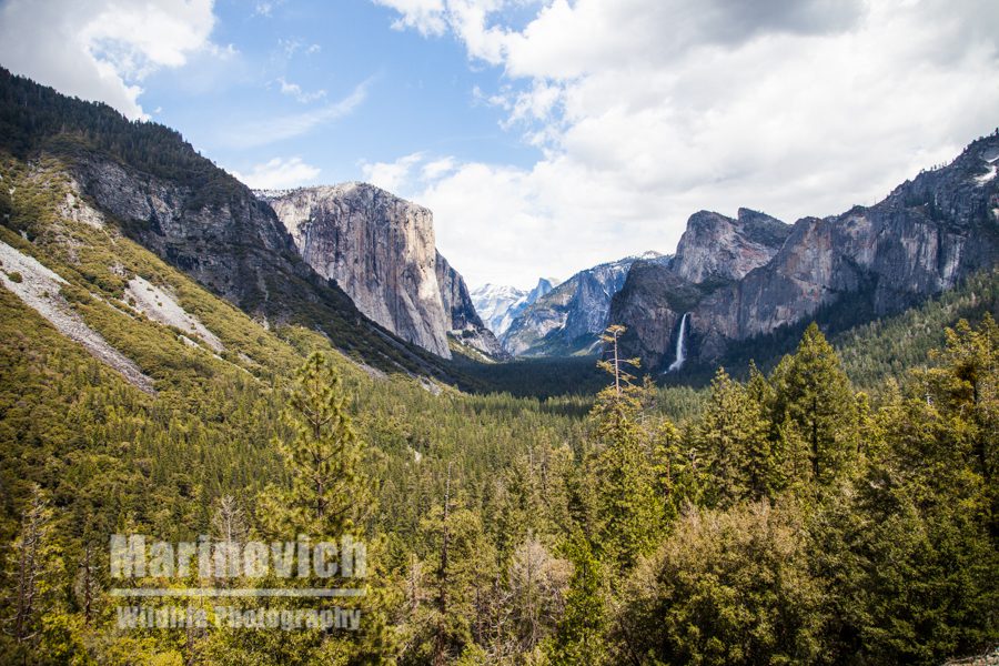 Yosemite National Park from the Tunnel View point showing Half Dome, El Capitan, and Bridalveil Fall.