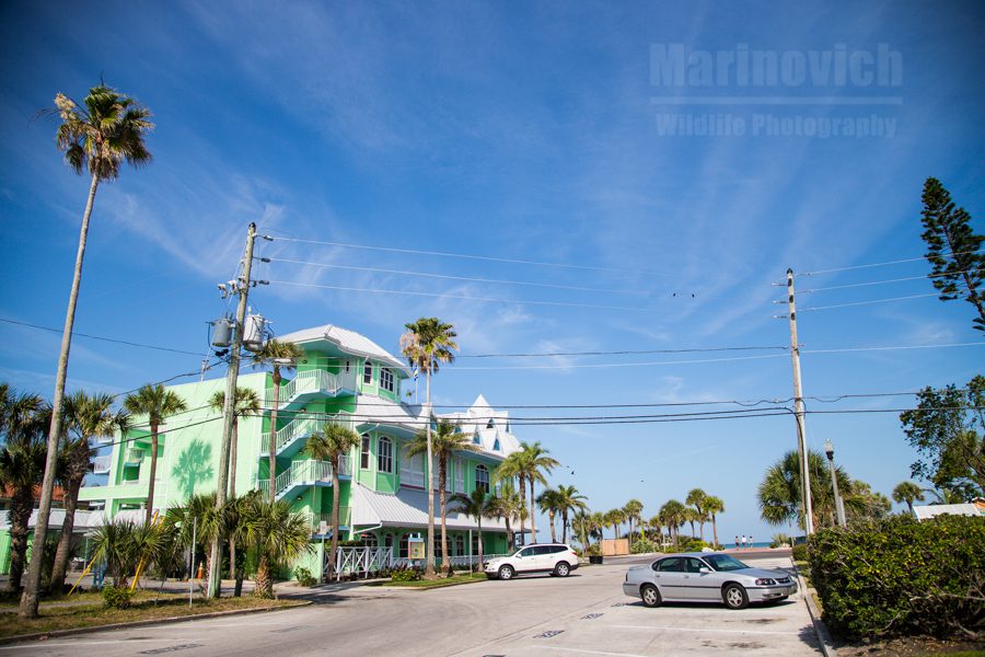 St Pete beach, Florida - marinovich photography