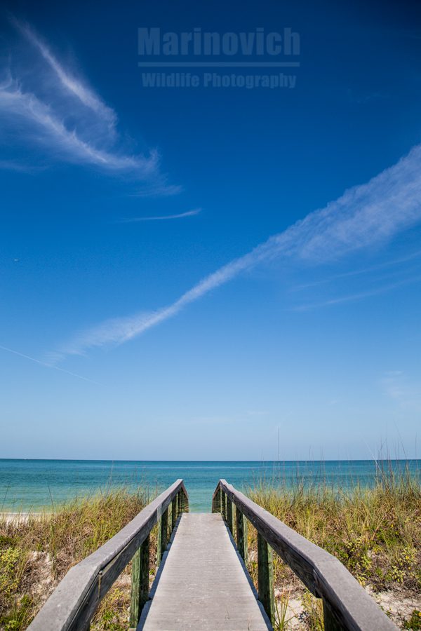 St Pete beach walkway, Florida