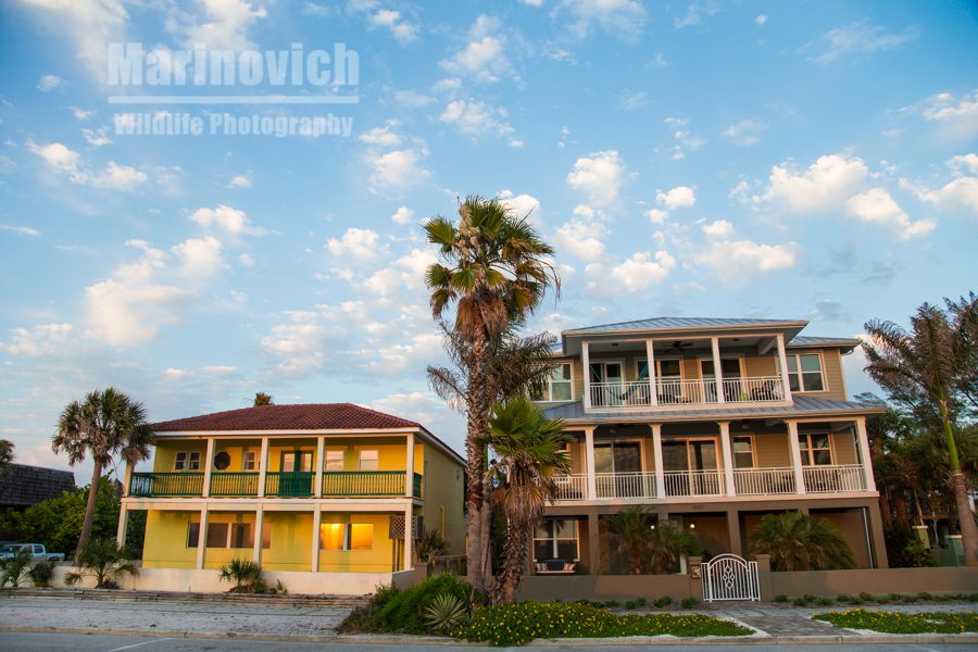 St Pete Beach, Florida marinovich Photography