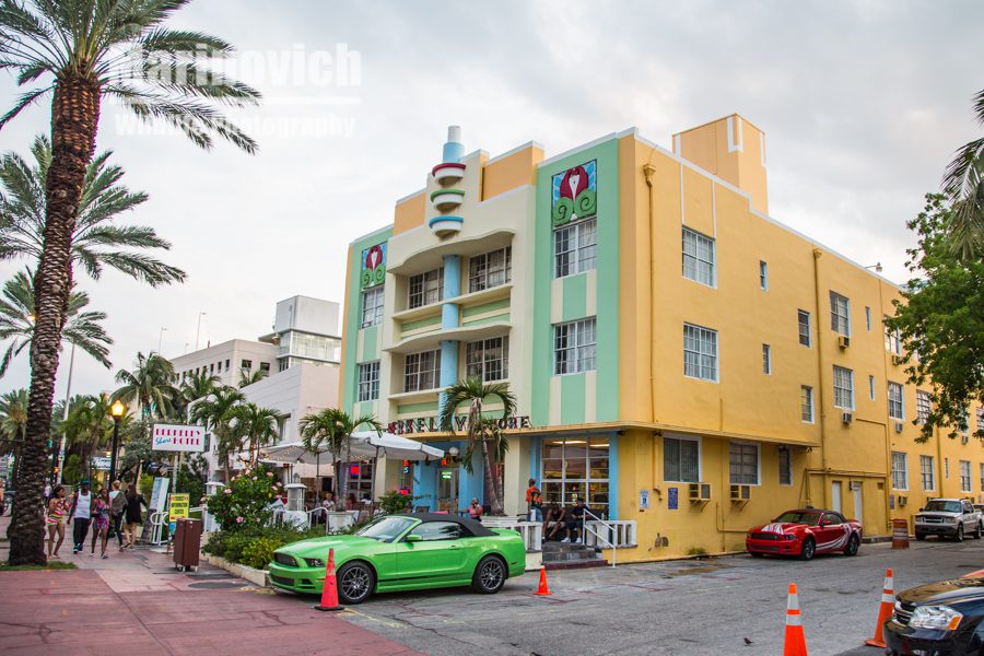 Mustang heaven, Miami, Florida