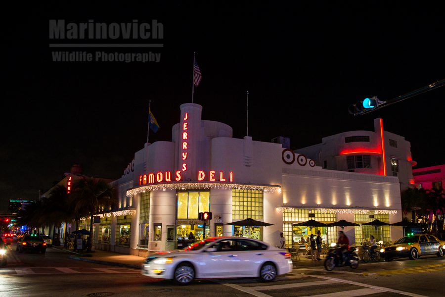 Jerry's Famous Deli - 24hours, Miami Florida- Marinovich Photography