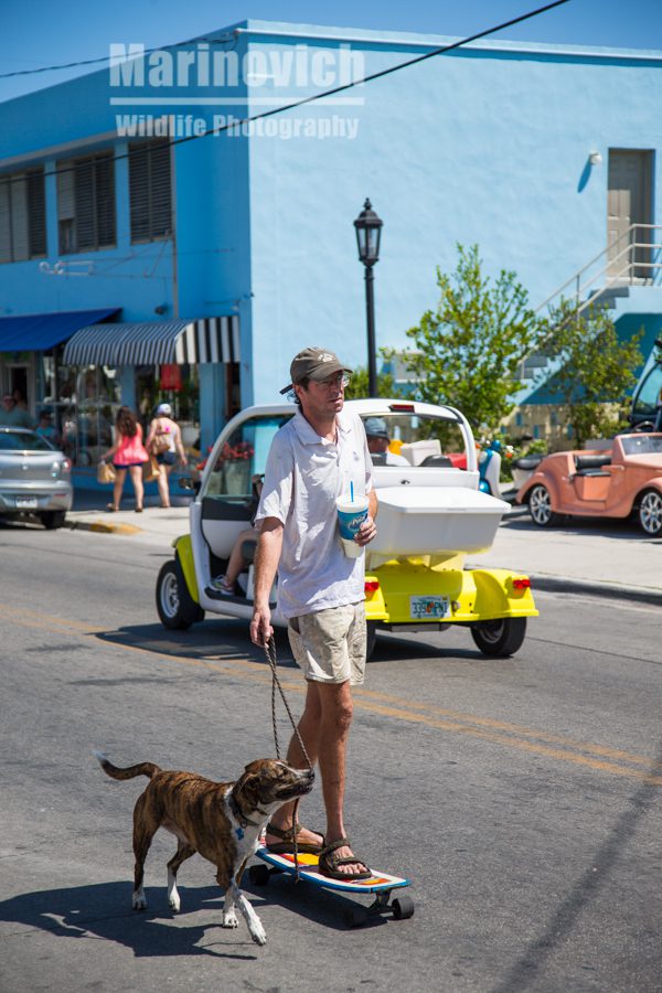 Key West residents