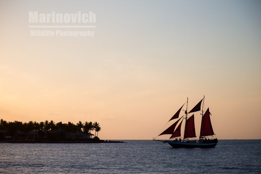 Key West sunset cruise