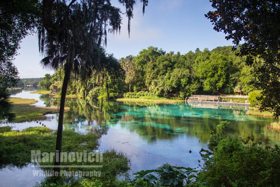 Rainbow Springs State Park