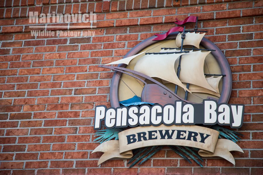 Pensacola Bay