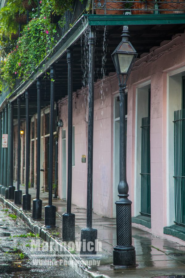 Watering the plants  - New Orleans balconys