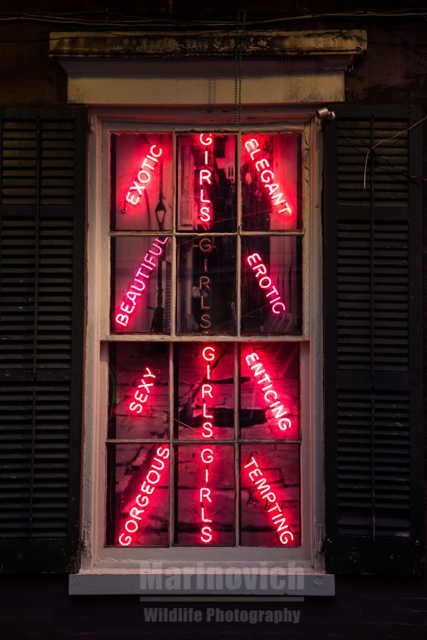 Neon sign, New Orleans girls