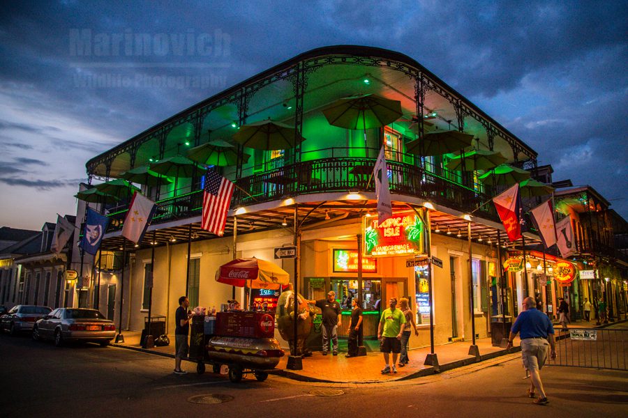 Tropical Isle colour -  New Orleans - Marinovich photography