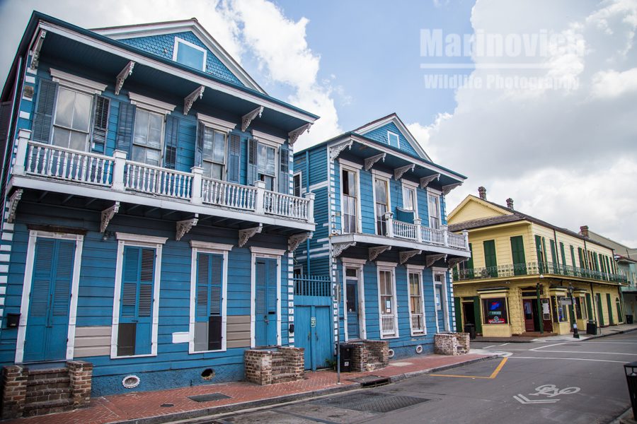 New Orleans street 