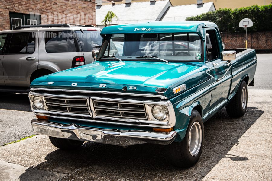 Ford Truck - New Orleans