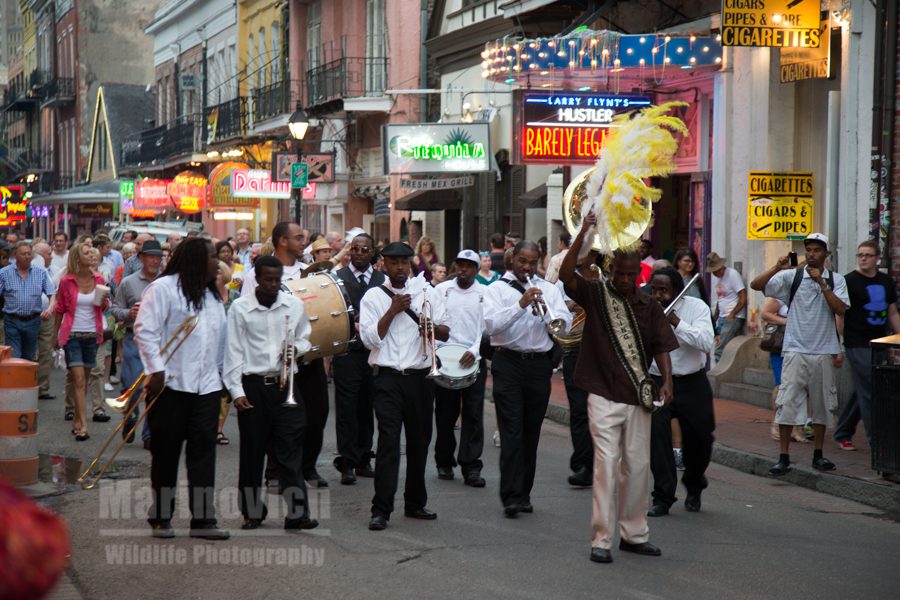 Fanfare - New Orleans style
