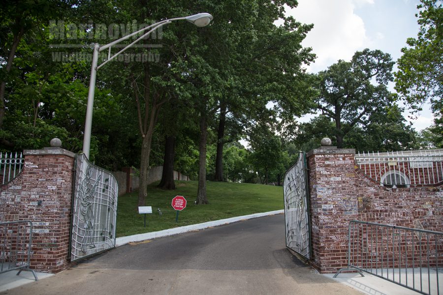 Graceland gates - Memphis - Marinovich photography
