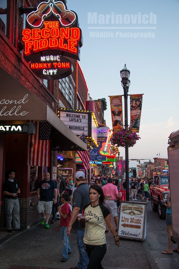 Nashville night out - Marinovich photography