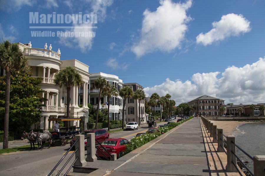 Charleston, South Carolina - The Battery