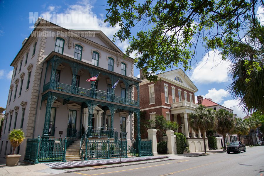 Charleston, stylish living