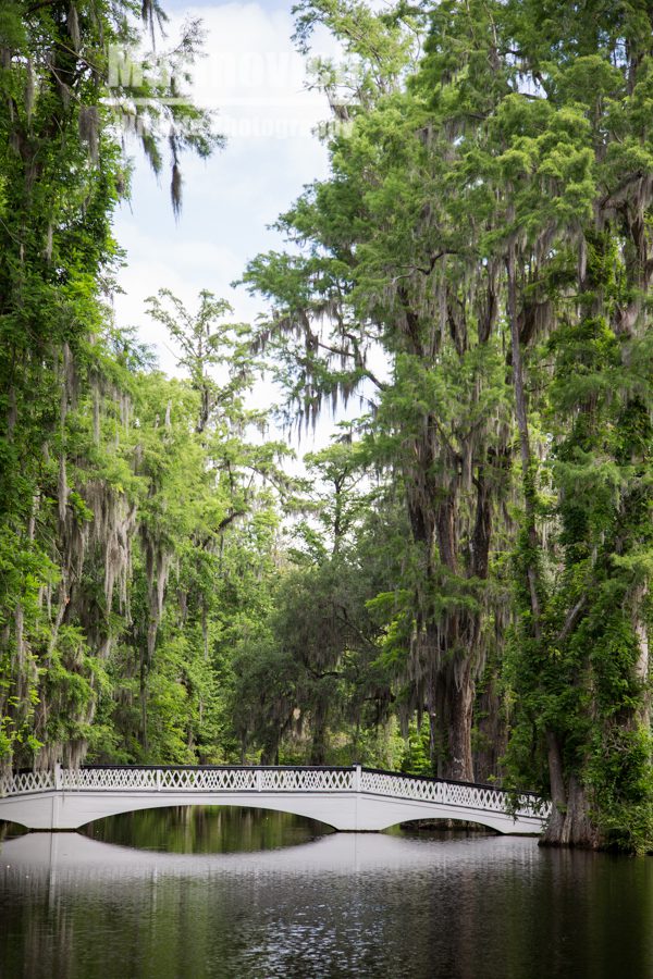 Magnolia Plantations and Gardens