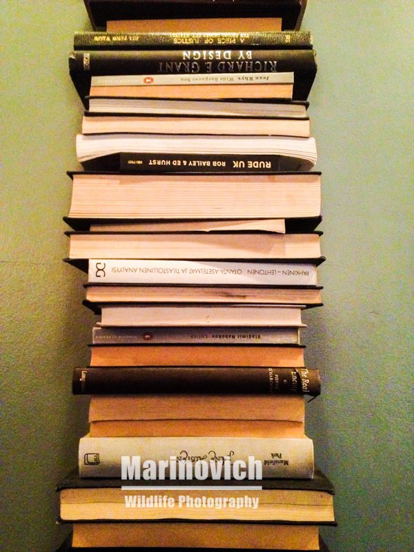 Books I read in 2014 - Marinovich Books
