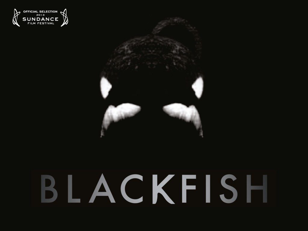 "Blackfish cover"